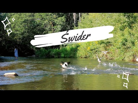 Spływ kajakowy Świder - mazowieckie kajaki