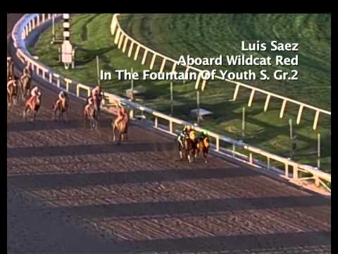 Xpressbet Ride Of The Week February 23, 2014