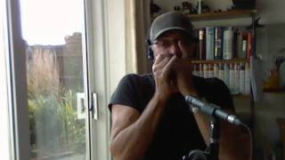 Lo how a Rose e'er blooming - Sting - Harmonica Cover