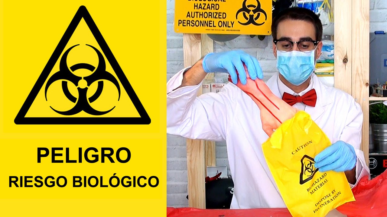 Contenedores de residuos biológicos peligrosos - Qué Hay Dentro