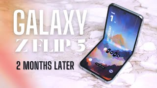 Samsung Galaxy Z Flip 5 long-term review: 2 Months later