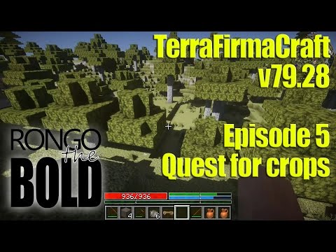 TerraFirmaCraft co-op adventures - Episode 5