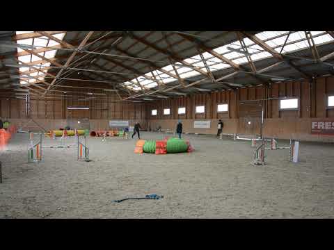 B.Fly Agility Team - TordasZoo téli kupa 2. 2019.12.08. - válogatás