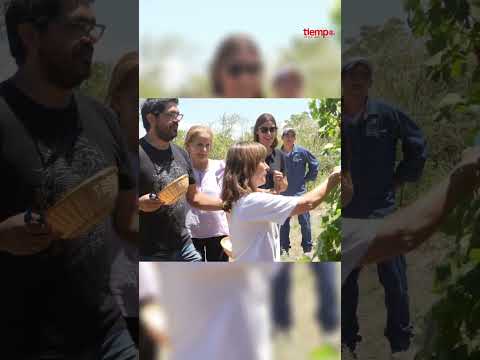 Una finca para aprender, gamelear y comer uvas directo del parral en 25 de Mayo