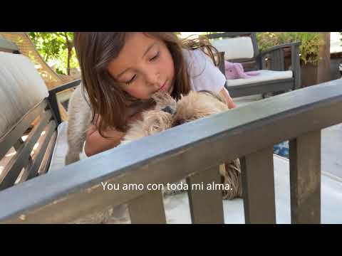 Soy El Futuro, by Jacqueline Guido