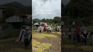 #vlog #旅行 #稲刈り #秋 #体験