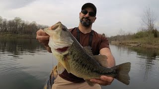 Weightless Wacky Rigged Senko in Shallow Wood/Pre-Spawn Bass Fishing