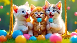 Download lagu ANAK KUCING MEONG MEONG - SI MEONG KUCING LUCU ❤️ Lagu Anak Indonesia Viral Terbaru mp3 Download lagu ANAK KUCING MEONG MEONG - SI MEONG KUCING LUCU ❤️ Lagu Anak Indonesia Viral Terbaru mp3