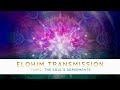 Elohim Transmission The Soul S Agreements