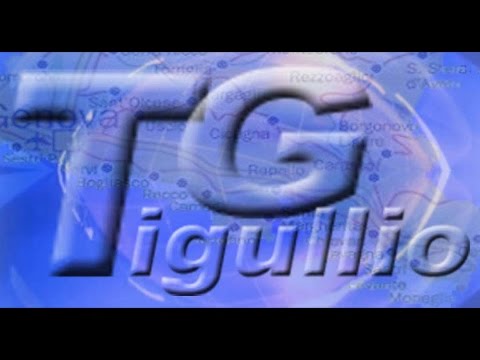 TG Tigullio 7 Novembre 2014