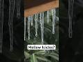 Why Some Icicles Are Hollow Inside! The Hidden Physics of Ice