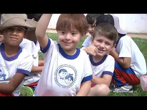 OURO FINO BOLETIM DA SEMANA 455 - 02 DE NOVEMBRO DE 2019