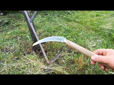 Management unseres 30 Jahre alten essbaren Waldgarten