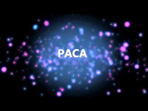 HAPPY BIRTHDAY PACA!