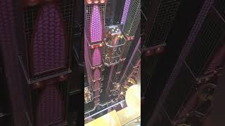 Carnival Splendor Glass Elevators- so high! #splendor #carnivalcruiseline #travel #cruise #height