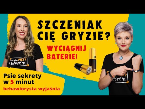 Why does my puppy keep biting me?! Is this normal?