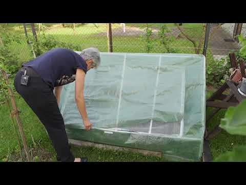 MUDROST BAŠTE – 8. Rasadnik