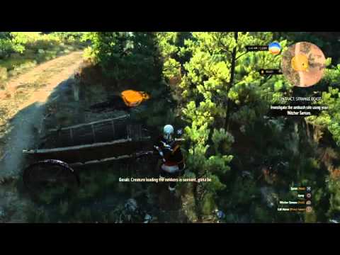 THE WITCHER 3 : CIRI IN SKELLIGE NEW KNOWLEDGE