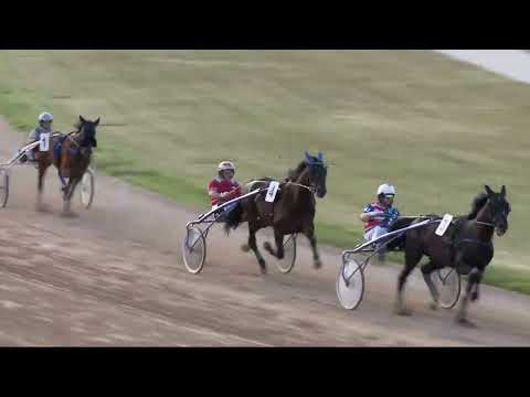 2022.06.05. 09. futam - DR. VECSEKLŐY JÓZSEF EMLÉKVERSENY - II. FUTAM