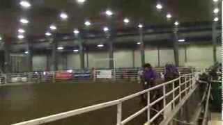 preview picture of video 'Dakota Thunder Mounted Drill Team at the Tri-Horse Expo 3-16-14'