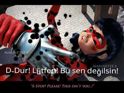 Chat Blanc Fanmade/Miraculous ladybug