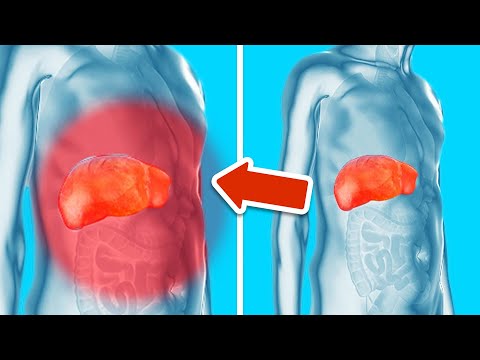 Reinige deine Leber, Niere und Bauchspeicheldrüse mit DIESER Zutat💥(Wirkt SOFORT)🤯