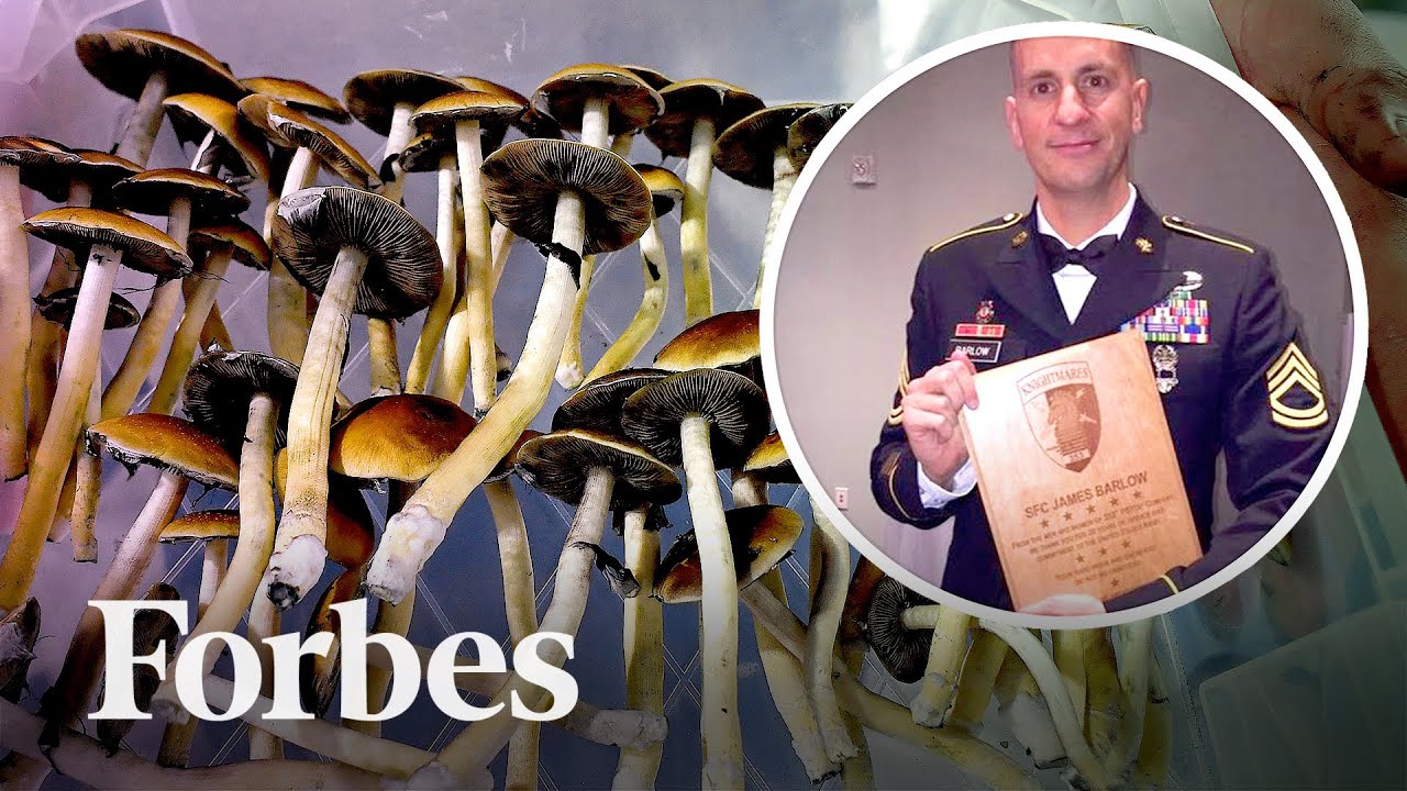 The Army Vet Who Got Rich Off Dark Web Psychedelics (According to The DOJ) 