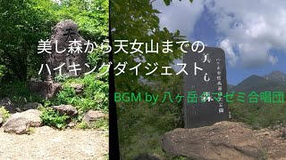 美し森から天女山までのハイキングのダイジェストです。