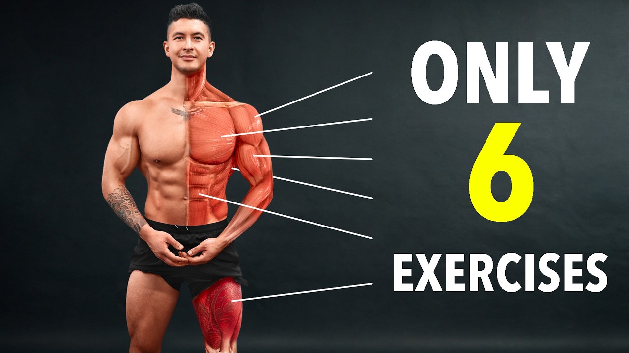 The #1 Full Body Routine to Build Muscle and Lose Fat
