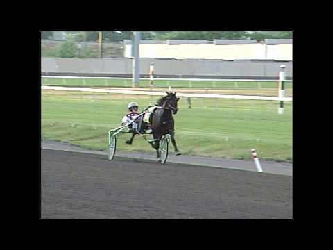 2014 Meadowlands Pace Winterbook