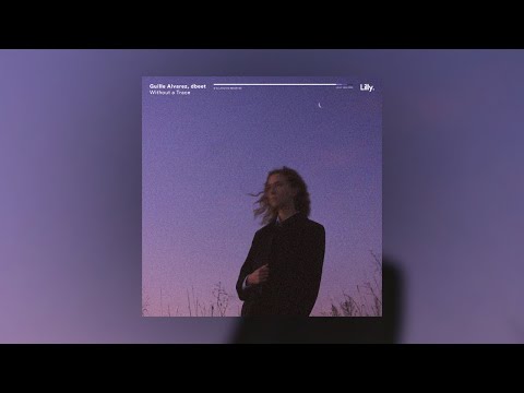 Guillle Alarez, dbeet - Without a Trace