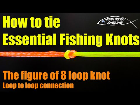 Figure of eight loop knot - Essential fishing knots