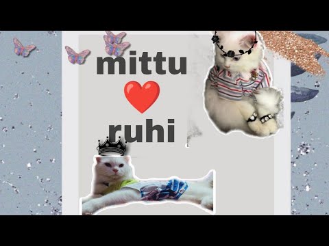 mittu meets ruhi first time (love at first sight 😻)