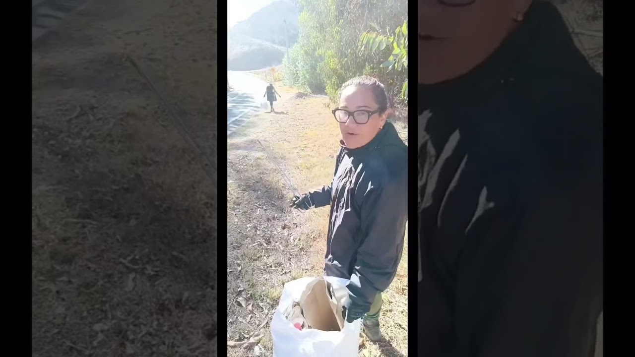 Despeja tu camino