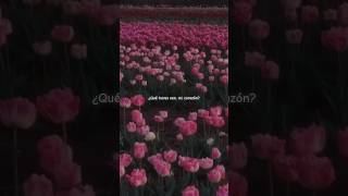 Download lagu me gustas tu - manu chao (lyrics)π· | aesthetic | Whatsapp status | spanish song mp3 Download lagu me gustas tu - manu chao (lyrics)π· | aesthetic | Whatsapp status | spanish song mp3