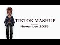 Tiktok Mashup November 2025 NOT CLEAN