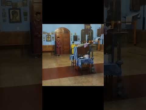 Recepción de Su Eminencia Gregorio (3) #ortodoxia #iglesiaortodoxa #arzobispo