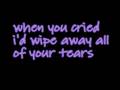 My Immortal(Band Version)-Evanescence(lyrics)