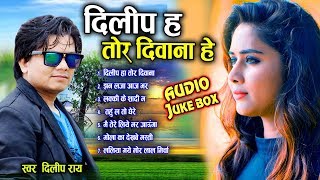 दिलीप राय Dilip ray  Cg Song  Dili