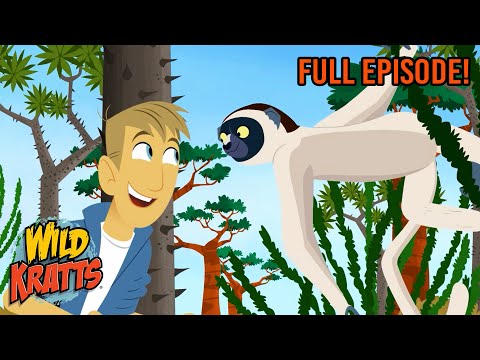 Lemur Legs | Season 3 | Full Episode | Animals for Kids | Wild Kratts