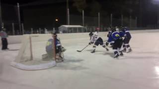 Lots of goals for LAHS hockey