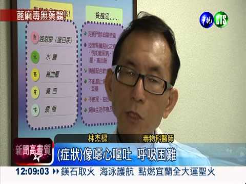 0.2毫克就致命 蓖麻毒無藥可治!