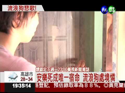 流浪狗悲歌! 攝影師拍遺照送行