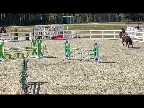 Kingston ( Kalaska de Semilly - Cornet Obolensky), stallion