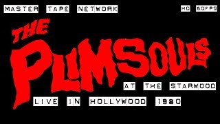 The Plimsouls Live in Hollywood 1980 @ The Starwood Master video Tape  60fps HD