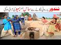 Second Wife Ramzi Noori Bilo Shoki Sanam Jannat Falak Sher Funny Video 2026 Rachnavi Tv