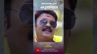 Download lagu ‍‍ഞാവലൻച്ചോല കുയിലേ | Njavalanchola Kuyile |  Manithamara | Malabar Cafe | Kuppayile Manikyam mp3