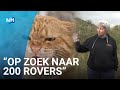 Kattenjagers van start op Texel