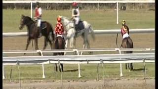 preview picture of video 'Shoalhaven City Turf Club presents - Run Like an Abbott Maiden Handicap'