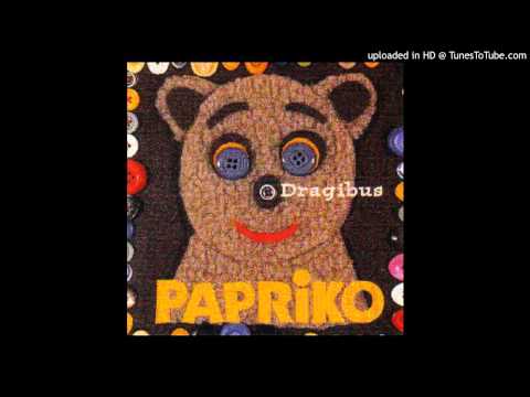 Dragibus - Le vieil ours